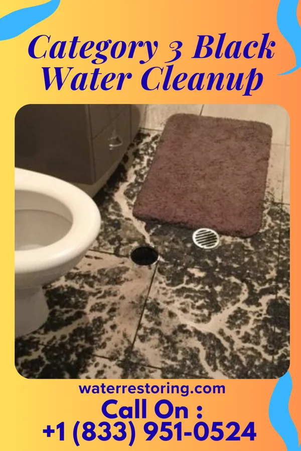 Category 3 Black Water Cleanup in Lakeview, MI