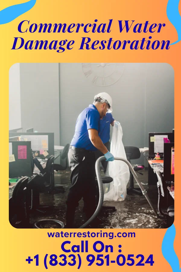 Commercial Water Damage Restoration in Lakeview, MI