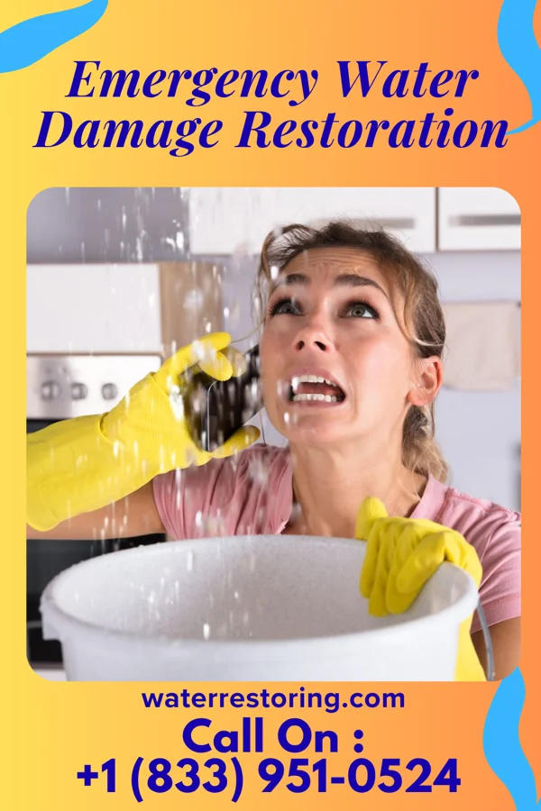 Emergency Water Damage Restoration in Lakeview, MI
