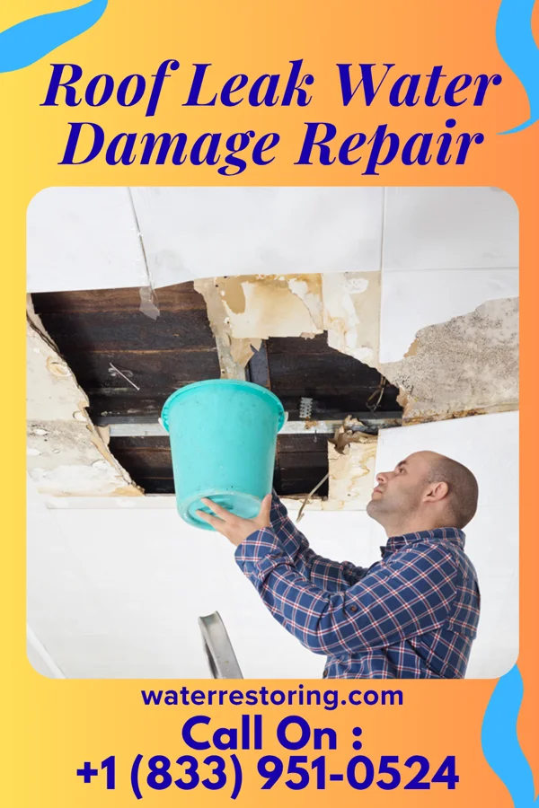Roof Leak Water Damage Repair in Lakeview, MI
