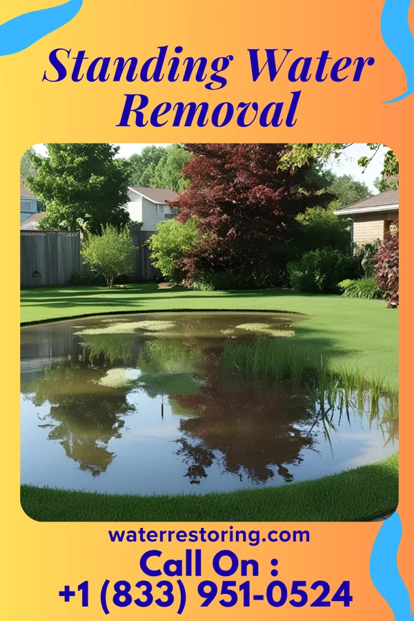 Standing Water Removal in Lakeview, MI